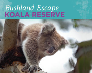 Koala Conservation Reserve